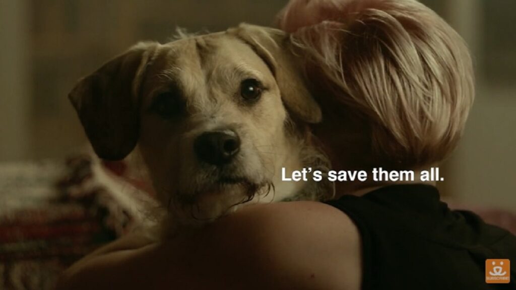 Best Friends Animal Society | #SaveThemAll