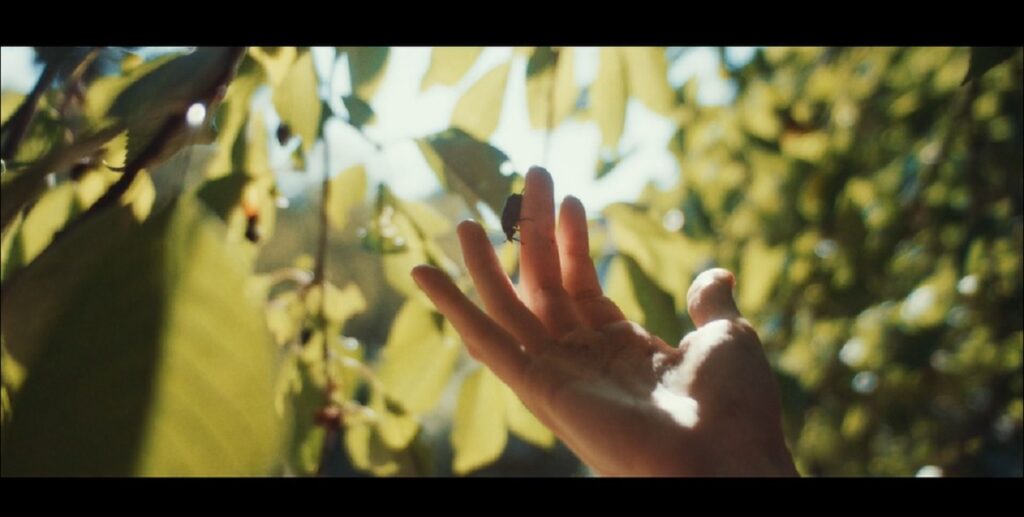 Czech Red Cross | Hands