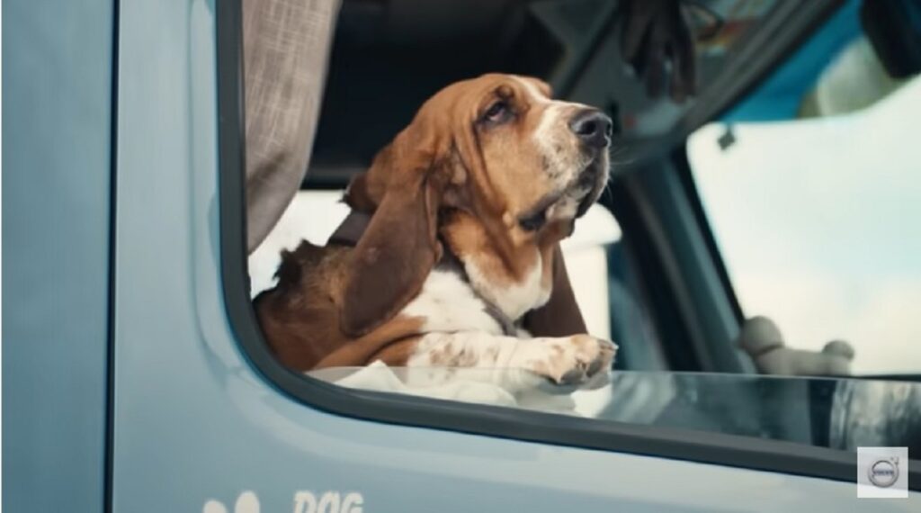 Volvo Trucks | Happy Drivers, Happy Dogs